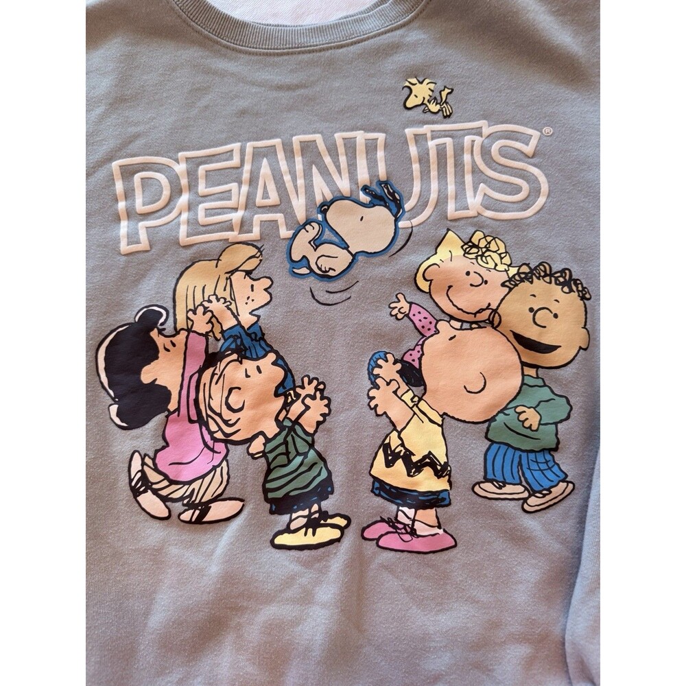 Peanuts Hybrid Fleece Crewneck Sweatshirt Gray M Snoopy Charlie Brown Cotton